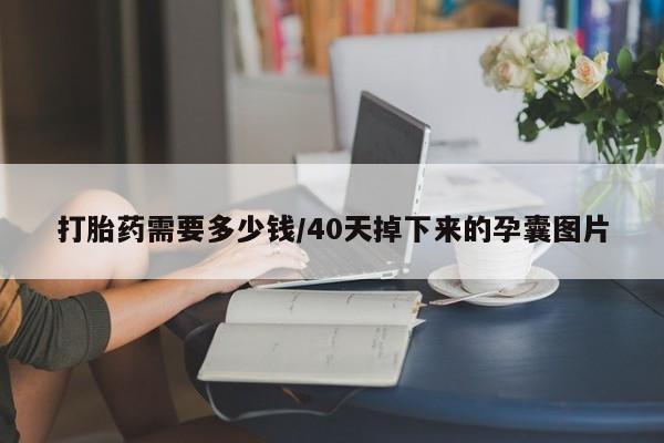 流产药在线购买微信打胎药需要多少钱/40天掉下来的孕囊图片